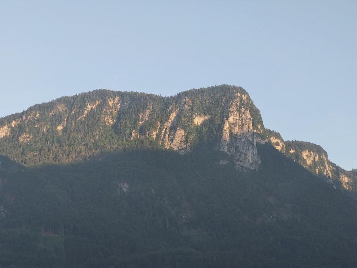 Apartmaji Pr'Pisk Bohinjska Bela Kültér fotó